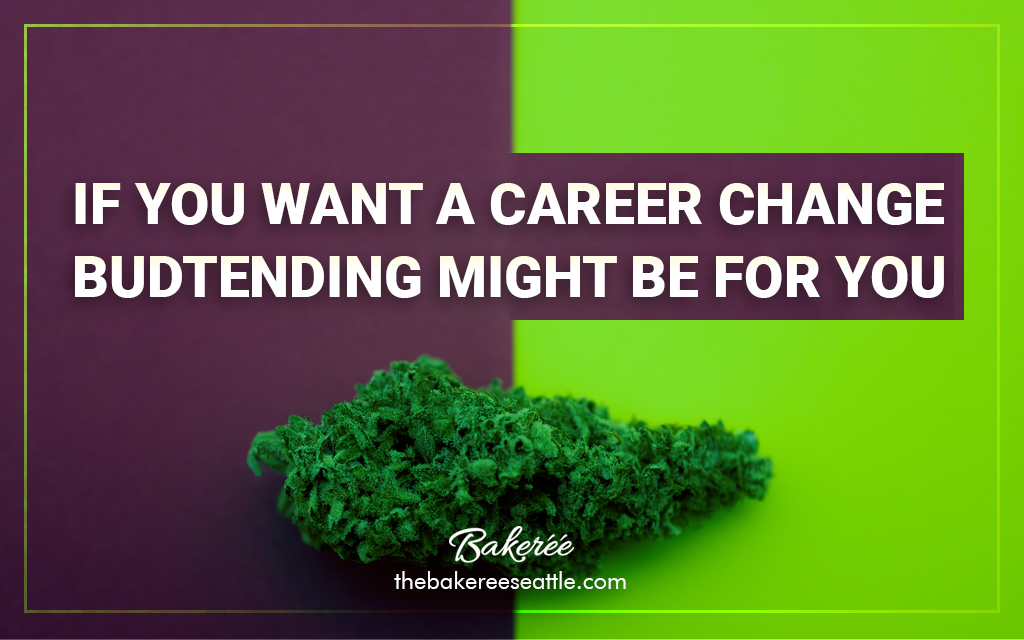 If-You-Want-A-Career-Change,-Budtending-Might-Be-For-You2